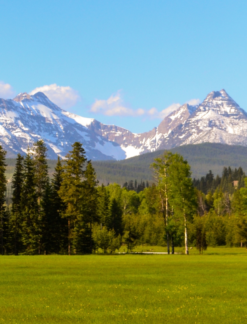 Green meadow with mountains and blue sky.