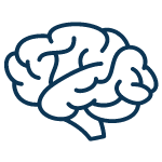 Icon of dark blue outline of a brain. 